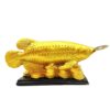 Golden Fish With Coin, Feng Sui Fish, Vaastu Fish With Coin, Vaastu Products, Fish And Coin Vaastu